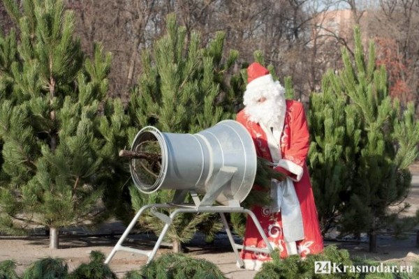 Где купить елку 2019 Где купить елку 2019