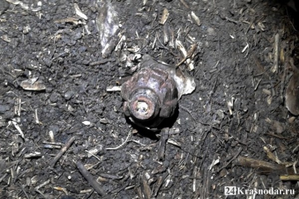 Заминированный берег