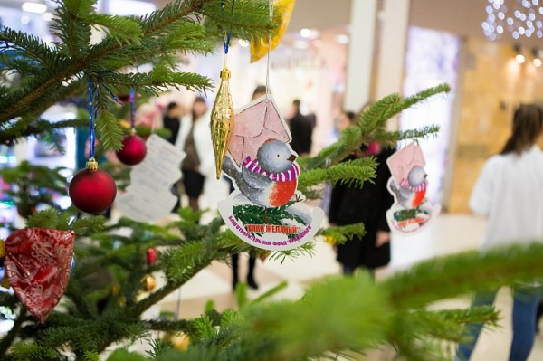 
            «Елки желаний»: в Краснодарском крае проходит благотворительная акция                    