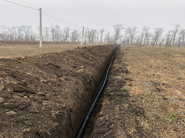 Евгений Первышов встретился с многодетными семьями Краснодара Евгений Первышов встретился с многодетными семьями Краснодара