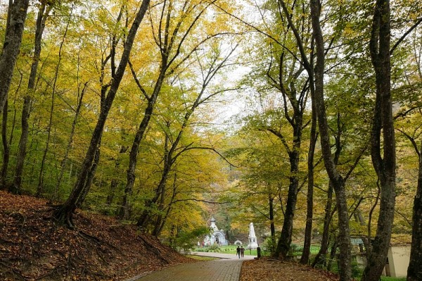 Горячий Ключ: 10 самых популярных достопримечательностей города-курорта
Горячий Ключ: 10 самых популярных достопримечательностей города-курорта