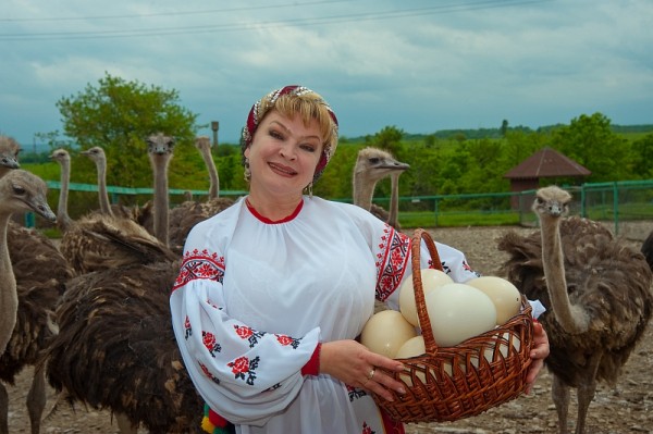 Горячий Ключ: 10 самых популярных достопримечательностей города-курорта
Горячий Ключ: 10 самых популярных достопримечательностей города-курорта