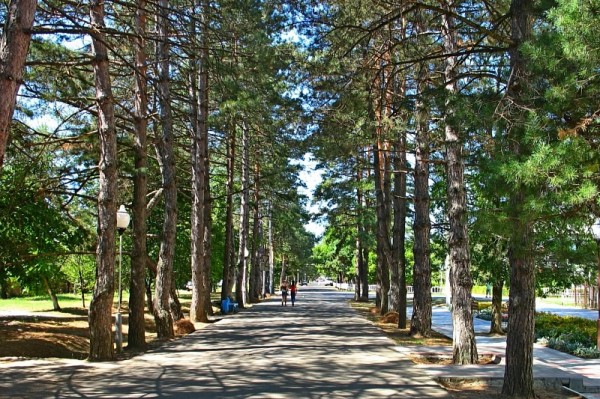 Горячий Ключ: 10 самых популярных достопримечательностей города-курорта
Горячий Ключ: 10 самых популярных достопримечательностей города-курорта