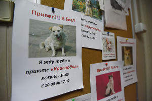 Помочь другому — сделать подарок себе. Как делать добро на Новый год — 2020