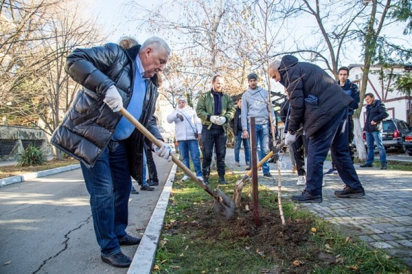 В Анапе высадили более 150 сосен и мыльных деревьев
В Анапе высадили более 150 сосен и мыльных деревьев