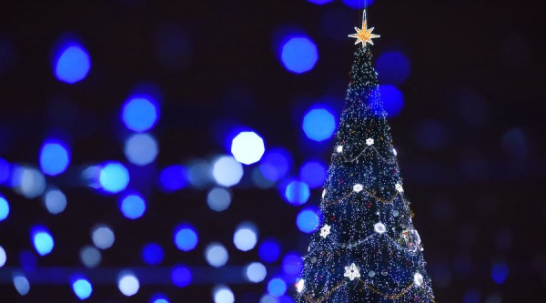 В Геленджике впервые пройдет новогодний карнавал