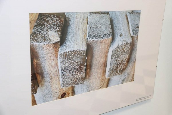 В Краснодаре открылась фотовыставка «PROснег»
В Краснодаре открылась фотовыставка «PROснег»