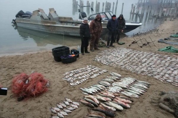 
            В Краснодарском крае граждане Украины порыбачили почти на 1,7 млн рублей                    