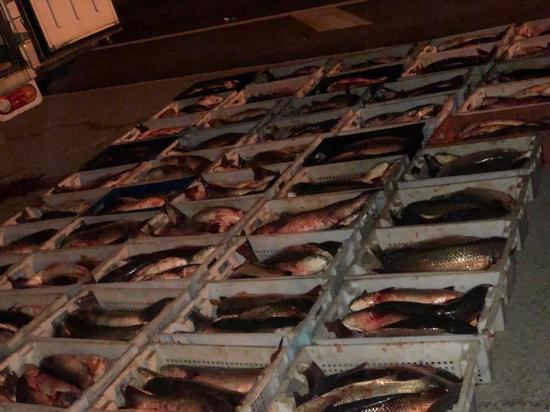 За год пограничники ФСБ возбудили на Кубани 55 уголовных дел против браконьеров