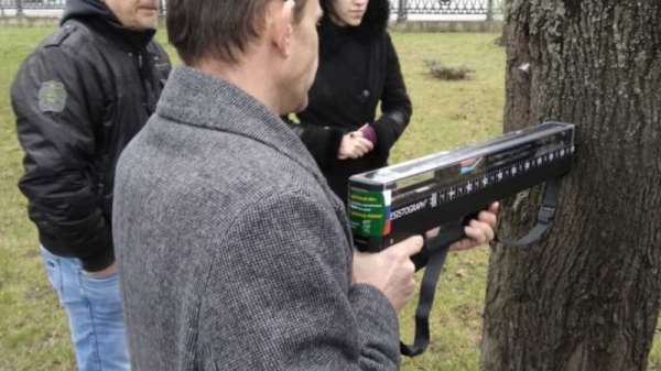 Краснодарским деревьям сделают комплексную томографию Краснодарским деревьям сделают комплексную томографию