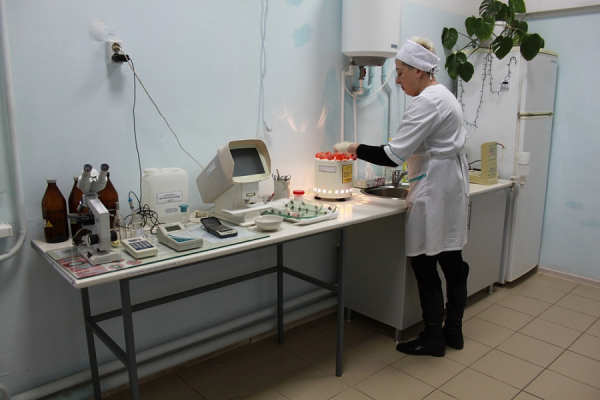 На реконструкцию рынков Кубани будет привлечено около 30 миллионов рублей инвестиций