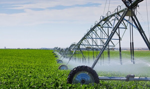 В прошлом году на Кубани в рамках нацпроекта ввели в эксплуатацию более 5 тысяч га мелиорируемых земель В прошлом году на Кубани в рамках нацпроекта ввели в эксплуатацию более 5 тысяч га мелиорируемых земель
