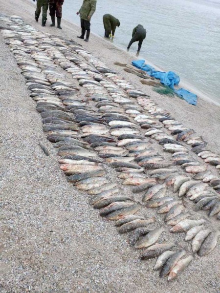 За год пограничники ФСБ возбудили на Кубани 55 уголовных дел против браконьеров