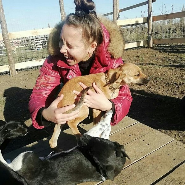 В Крымске волонтеры на свои деньги построили &laquo;собачий городок&raquo;