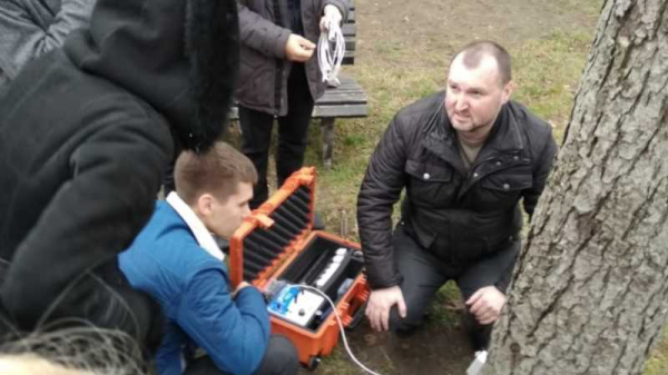 Краснодарским деревьям сделают комплексную томографию Краснодарским деревьям сделают комплексную томографию