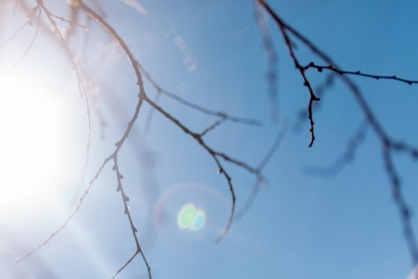 Какой будет погода в выходные в Краснодарском крае