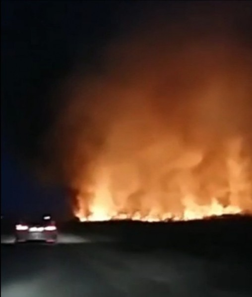 В Темрюкском районе бушует пожар (ВИДЕО)