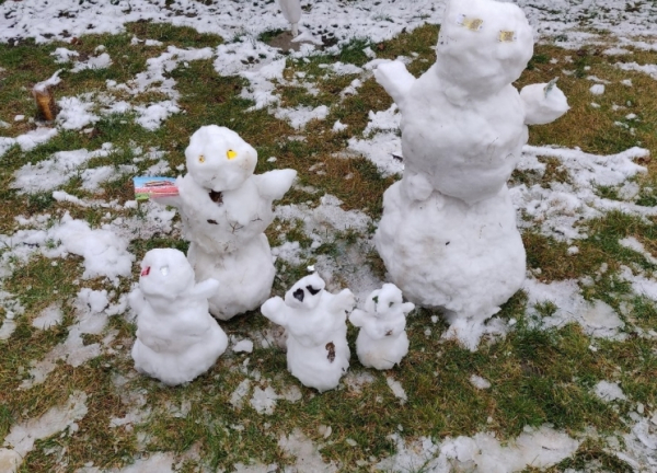 На улице минус и снег с дождем: какие сюрпризы приготовила погода южному региону
