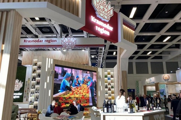 
            Губернатор Кубани Вениамин Кондратьев посетил стенд региона на сельскохозяйственной выставке в Берлине                    