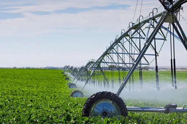 
            В Краснодарском крае в рамках нацпроекта ввели в эксплуатацию более 5 тысяч га мелиорируемых земель                    