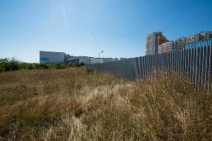 В Суджукской лагуне Новороссийска уничтожают краснокнижные растения. Кто и что там строит?