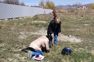 В Суджукской лагуне Новороссийска уничтожают краснокнижные растения. Кто и что там строит?