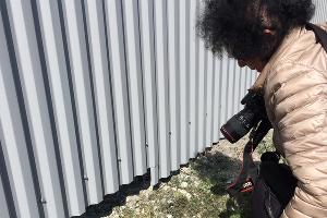 В Суджукской лагуне Новороссийска уничтожают краснокнижные растения. Кто и что там строит?