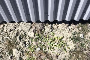 В Суджукской лагуне Новороссийска уничтожают краснокнижные растения. Кто и что там строит?