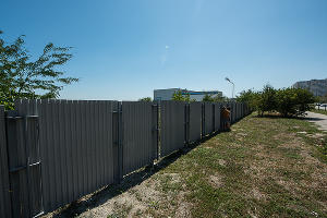 В Суджукской лагуне Новороссийска уничтожают краснокнижные растения. Кто и что там строит?