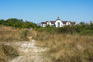 В Суджукской лагуне Новороссийска уничтожают краснокнижные растения. Кто и что там строит?