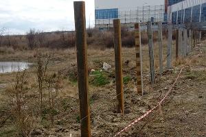 В Суджукской лагуне Новороссийска уничтожают краснокнижные растения. Кто и что там строит?