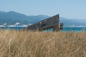 В Суджукской лагуне Новороссийска уничтожают краснокнижные растения. Кто и что там строит?