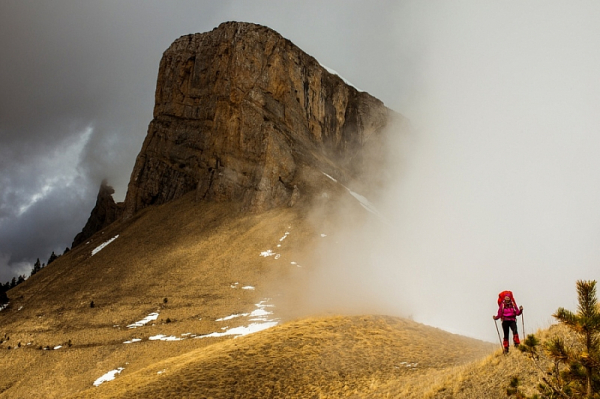 Заповедники Краснодарского края вошли в число самых привлекательных мест для экотуризма в России
Заповедники Краснодарского края вошли в число самых привлекательных мест для экотуризма в России
