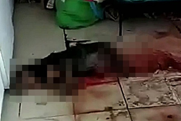 &laquo;Обезумел и натравил терьера&raquo;: Житель Адыгеи избивал соседку, пока её кусала собака