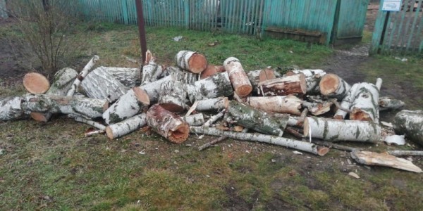 «Дрова купить не можете?»: на Кубани многодетной маме пришлось бороться за гнилые поленья «Дрова купить не можете?»: на Кубани многодетной маме пришлось бороться за гнилые поленья