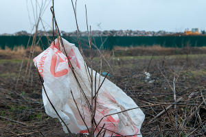 Белореченск &mdash; не помойка. Что происходит на мусорном полигоне и чем недовольны жители