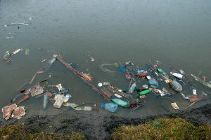 Белореченск &mdash; не помойка. Что происходит на мусорном полигоне и чем недовольны жители