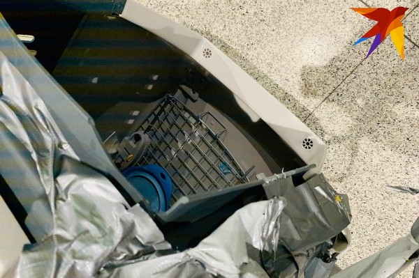 В Сочи сотрудник аэропорта уронил клетку с собакой