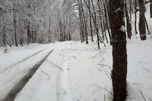 В горах Сочи открыли новый турмаршрут «Снежный» В горах Сочи открыли новый турмаршрут «Снежный»