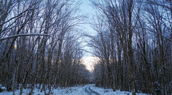 В горах Сочи открыли новый турмаршрут «Снежный» В горах Сочи открыли новый турмаршрут «Снежный»