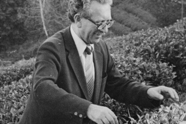 В Сочи набережную назовут в честь чаевода Устима Штеймана
В Сочи набережную назовут в честь чаевода Устима Штеймана