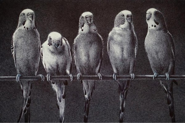 В Сочи откроется выставка живописи и графики «История любви старинной»
В Сочи откроется выставка живописи и графики «История любви старинной»