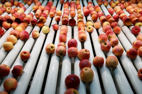 
            В Тимашевском районе реализовали три инвестпроекта в АПК                    