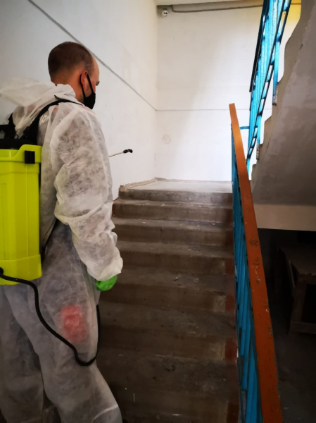 Тотальная дезинфекция Краснодара: итоги недели обработки