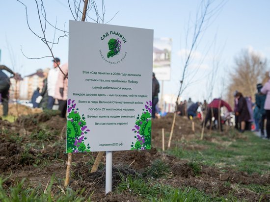 Акция «Сад памяти» будет проходить в новом формате
