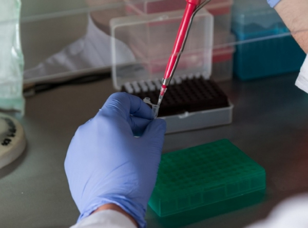 Уже больше тысячи: новые данные по заболеваемости коронавирусом на Кубани Уже больше тысячи: новые данные по заболеваемости коронавирусом на Кубани