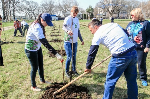 Акция «Сад памяти» будет проходить в новом формате