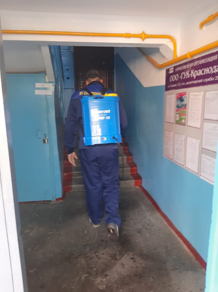 Тотальная дезинфекция Краснодара: итоги недели обработки