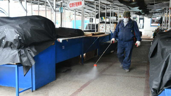 На Сенном рынке Краснодара заработала продуктовая ярмарка На Сенном рынке Краснодара заработала продуктовая ярмарка