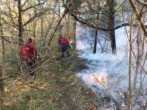 Сложная пожарная обстановка сохраняется на Кубани